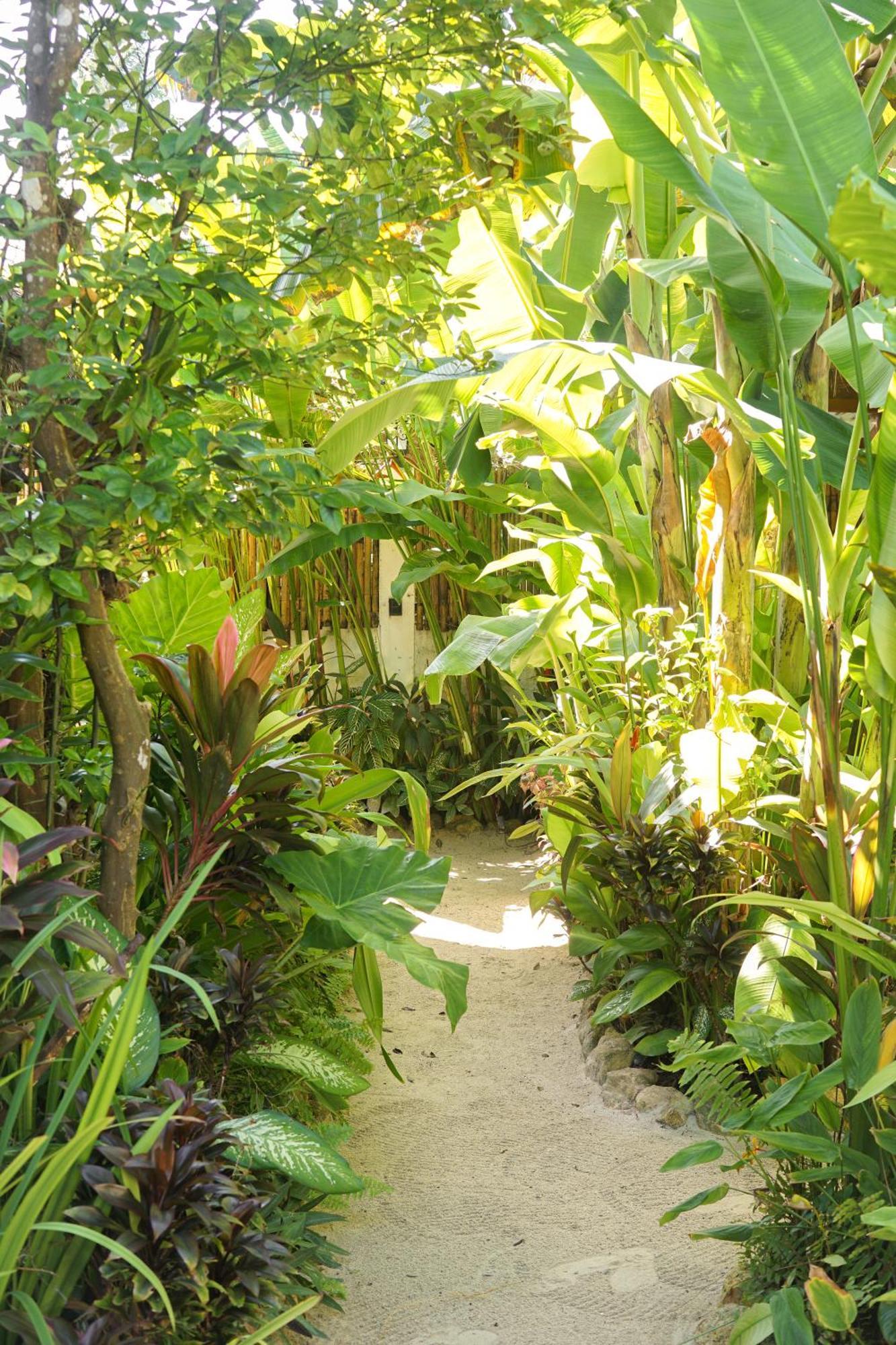 Greenhouse Siargao Roadside Boutique Apartments General Luna  Εξωτερικό φωτογραφία